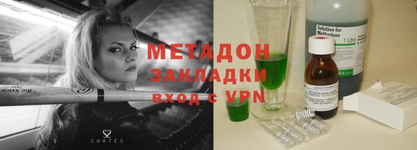 прущие грибы Аркадак